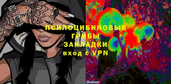 мет Алексин